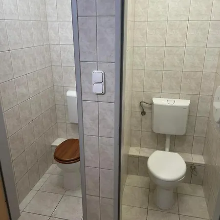 Hostel Viola